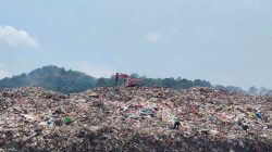 Pelanggaran Lingkungan Komitmen untuk Lingkungan yang Lebih Baik
