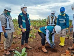 Komisaris PT GAG Nikel Angkat Bicara soal Polemik Tambang di Raja Ampat