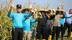 Lapas Batulicin Buktikan Pembinaan Tak Sekadar Teori, Warga Binaan Panen Sayur Hasil Kerja Keras Sendiri
