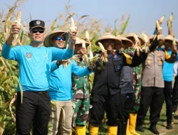 Lapas Batulicin Buktikan Pembinaan Tak Sekadar Teori, Warga Binaan Panen Sayur Hasil Kerja Keras Sendiri